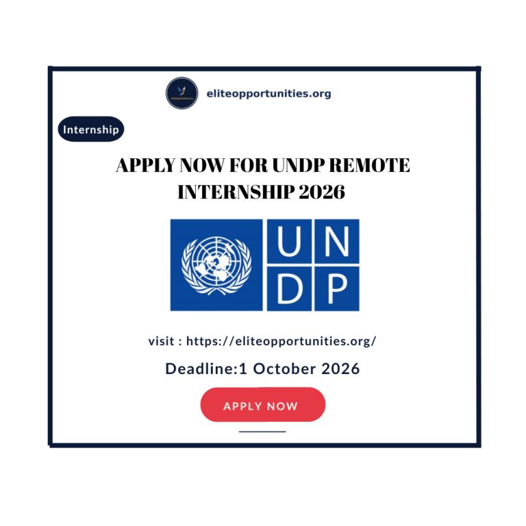 Apply now for UNDP Remote Internship 2026