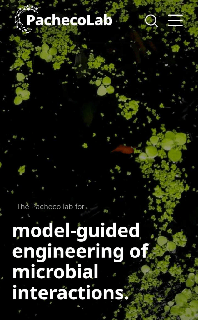 PhD
