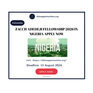 Zacch Adedeji Fellowship 2026 in Nigeria Apply now