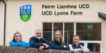 UCD